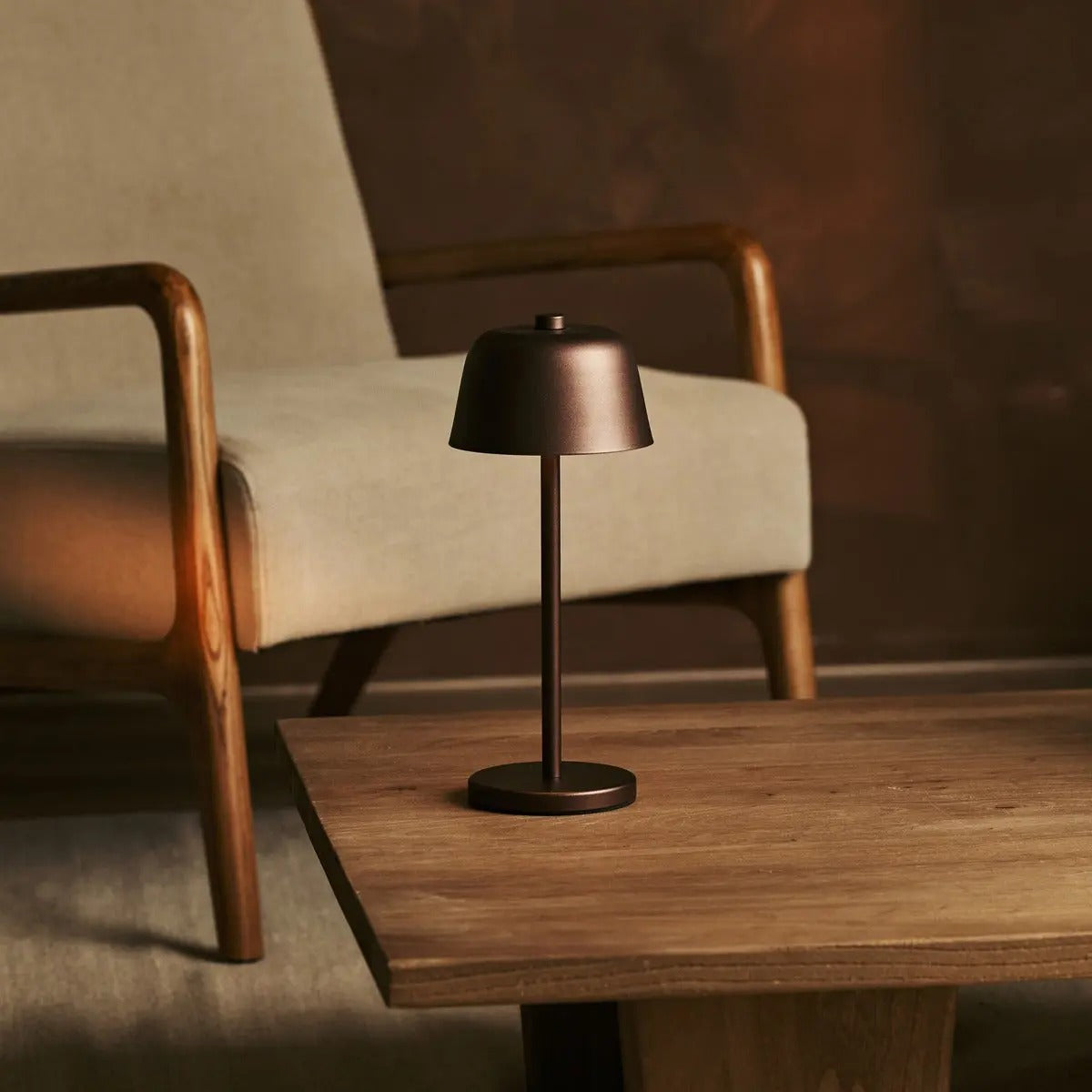 Rechargeable Table Lamp With Wireless LED And Dimmable Function