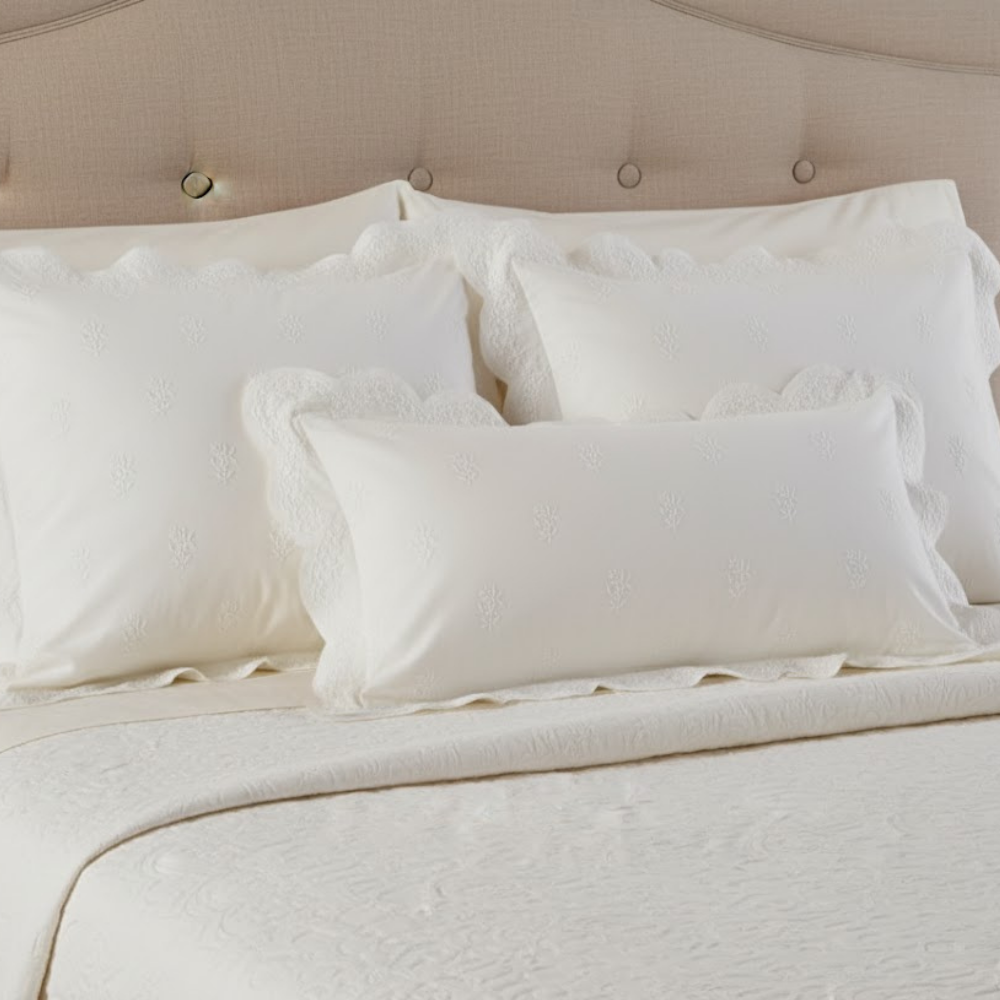 Stella Cotton Pillowcase Schiffli Embroidered Edge