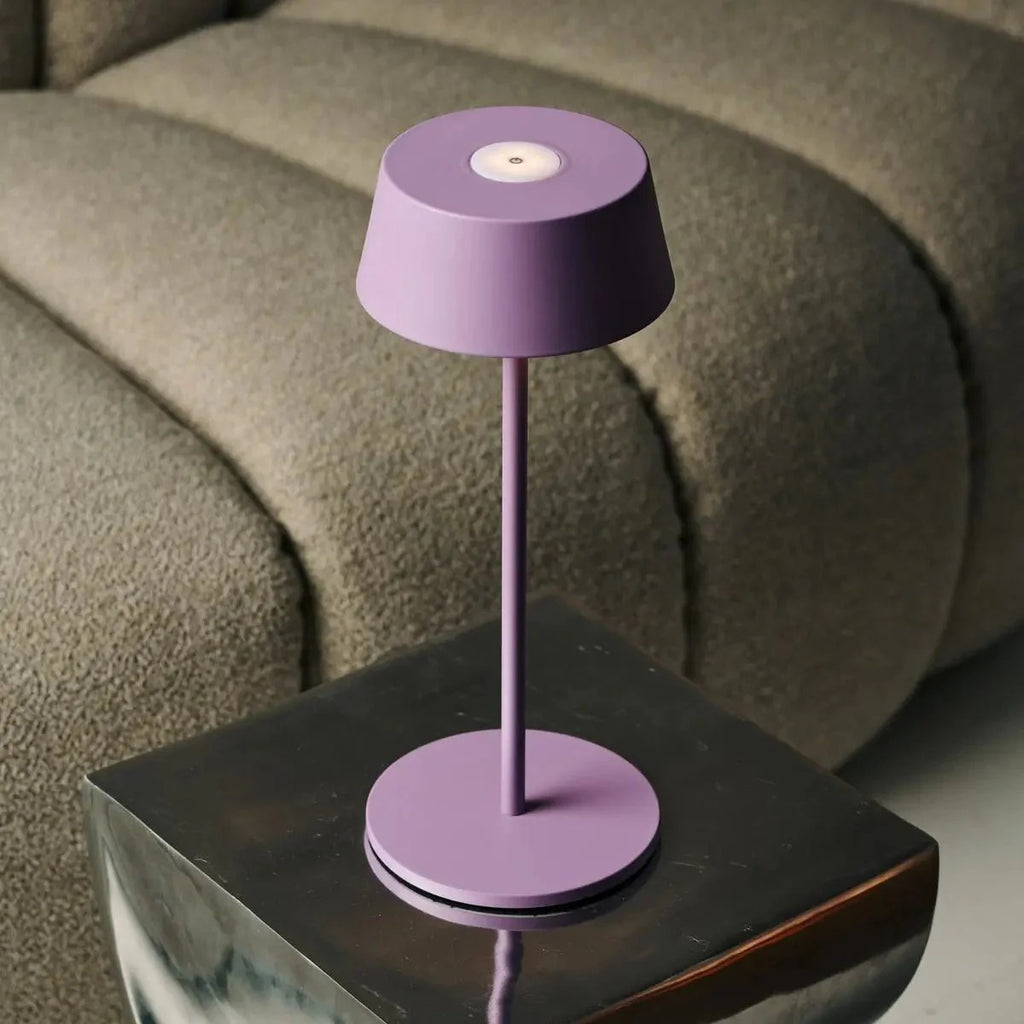 Stylish Rechargeable Lamp With Dimmable LED And Wireless Function